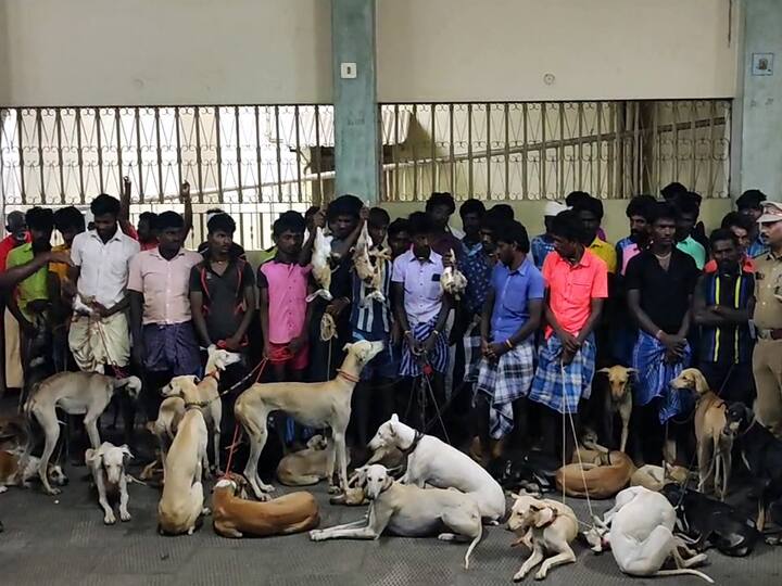 Dindigul: Forest department arrested 40 people from Karur district who tried to hunt rabbits திண்டுக்கல்: நாய்களுடன் முயல்களை வேட்டையாட முயன்ற 40 பேர் கைது -  வனத்துறை அதிரடி