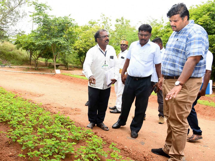 கரூரில் சிறு, குறு விவசாயிகளுக்கு மரக்கன்றுகள் வழங்குவதற்காக 22 நாட்றங்கால் பண்ணைகள் - ஆட்சியர் தகவல்