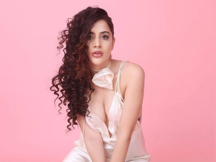 urfi javed reveals why she shares latest video post message on Instagram story Urfi Javed ने इस वजह से शेयर किया था बोल्ड वीडियो, सोशल मीडिया पर किया खुलासा