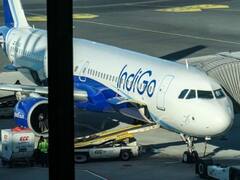 IndiGo Q1 Results: Airline's Net Loss Narrows To Rs 1,064 Crore; Revenue Jumps 327 Per Cent