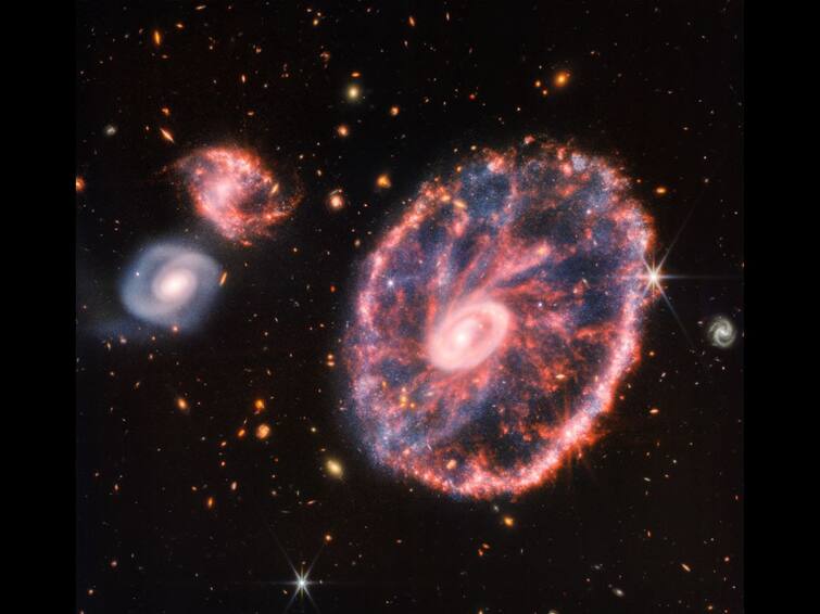 'Stellar Gymnastics': What NASA Webb Has Captured In Rarely Seen Cartwheel Galaxy