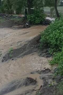 लातूर जिल्ह्यात मुसळधार पाऊस, शेती पिकांना फटका