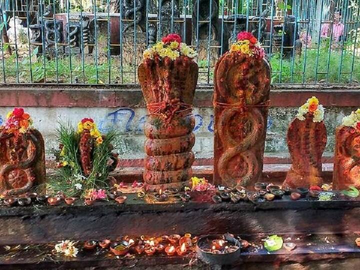 What are the Do's and Dont's of this auspicious day Nag Panchami Naga Panchami : நாக பஞ்சமி நாள் சிறப்புகளாக கருதப்படுவது என்ன? பூஜை முறைகள் என்ன?