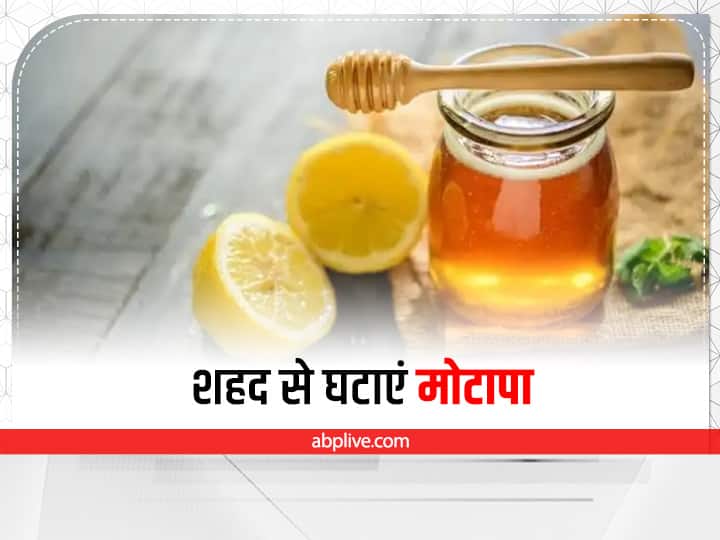 How To Use Honey For Weight Loss Include Honey In Your Diet Weight Loss Tips: शहद में मिलाकर खाएं ये चीजें और तेजी से घटाएं अपना वजन