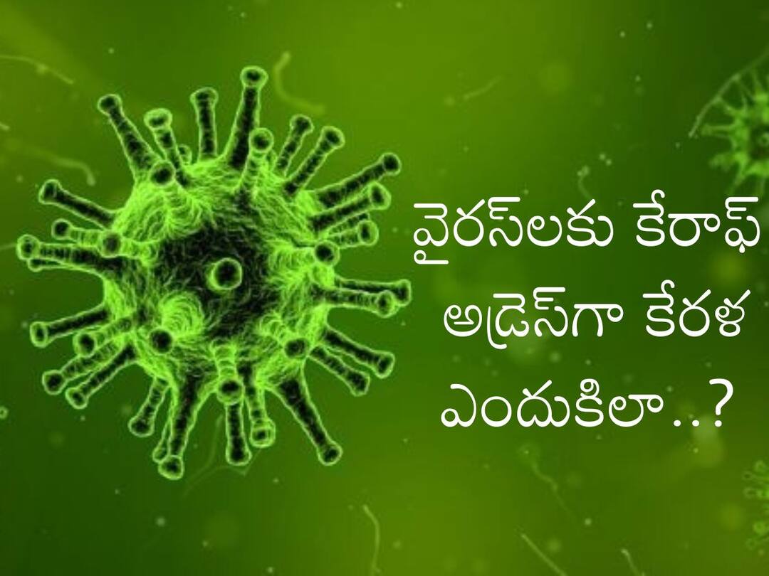 Kerala is hotbed of Diseases from Monkeypox to COVID-19 Virus Check Details Virus Outbreak in Kerala: వైరస్‌లకు కేరళ ఎందుకు హాట్‌స్పాట్‌గా మారుతోంది? ఎక్స్‌పర్ట్స్ ఏం చెబుతున్నారు?