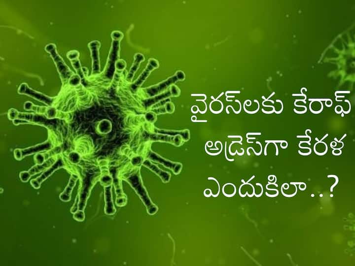 Kerala is hotbed of Diseases from Monkeypox to COVID-19 Virus Check Details Virus Outbreak in Kerala: వైరస్‌లకు కేరళ ఎందుకు హాట్‌స్పాట్‌గా మారుతోంది? ఎక్స్‌పర్ట్స్ ఏం చెబుతున్నారు?