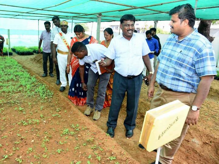 Saplings for small guru farmers in Karur TNN கரூரில் சிறு, குறு விவசாயிகளுக்கு மரக்கன்றுகள் வழங்குவதற்காக 22 நாட்றங்கால் பண்ணைகள் - ஆட்சியர் தகவல்