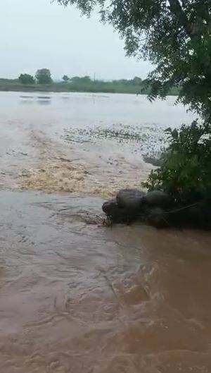 लातूर जिल्ह्यात मुसळधार पाऊस