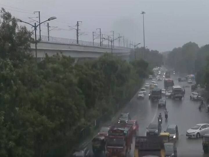 Delhi-NCR Rain Heat decreased after Light Rain in Delhi NCR Today Delhi-NCR Rain: दिल्ली-एनसीआर में झमाझम हुई बारिश, उमस भरी गर्मी से मिली काफी राहत, देखें वीडियो