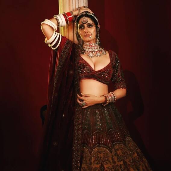 Ayesh Singh Photos: Ayesha Singh is stunning in bridal look, photo went viral