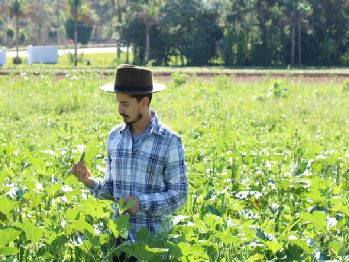 Okra Farming: खेतों को भर देगी भिंडी की ये खास किस्म, बंपर पैदावार के लिये सही तरीका अपनायें