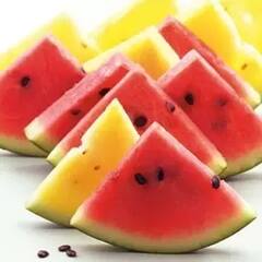 Watermelon Day 2022 : ਲਾਲ ਹੀ ਨਹੀਂ ਪੀਲੇ ਰੰਗ ਦਾ ਤਰਬੂਜ ਵੀ ਸਿਹਤ ਲਈ ਹੁੰਦੈ ਬਹੁਤ ਫਾਇਦੇਮੰਦ, ਜਾਣੋ ਕਿਵੇਂ