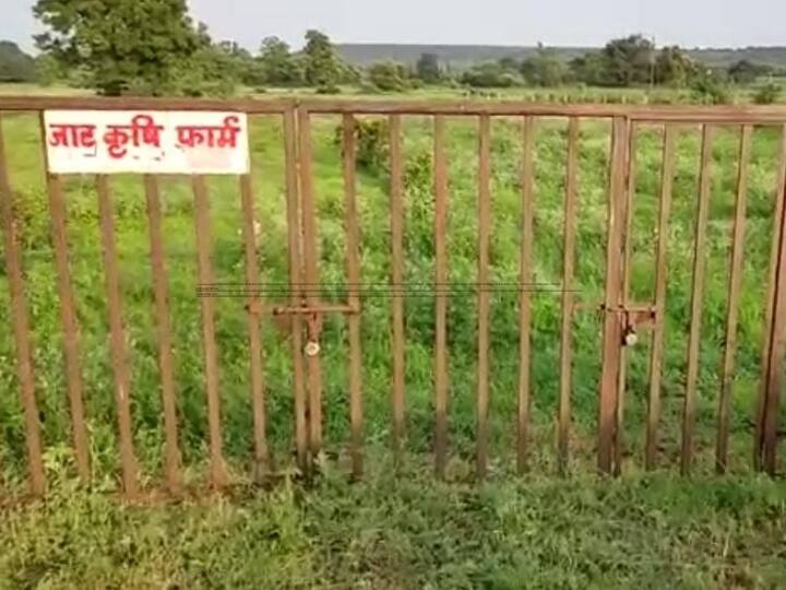 Madhya Pradesh Crop ruined due to rain farmers of Sagar went to other districts in search of wages ANN MP Rain: बारिश ने बिगाड़ा किसानों का खेत, कहीं पानी के बिना बोवनी नहीं हुई तो कहीं पानी में सड़ गई फसल, प्रशासन ने दी यह सलाह