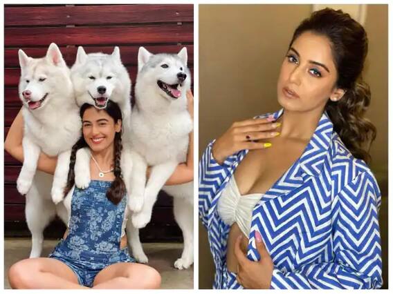 Very cute pictures of Srishti Rode with two chotili are viral, fans also went crazy...