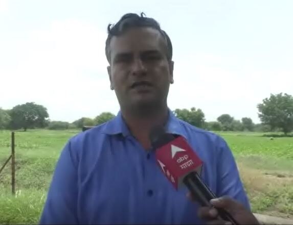 soybean crop : गोगलगायीनंतर आता सोयाबीनवर एलो मोझॅक व्हायरसचा प्रादुर्भाव, कसा कराल प्रतिबंध?