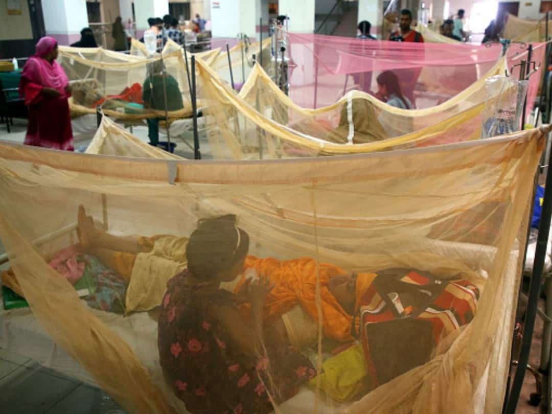 Dengue Cases Rise: Symptoms, Diagnosis, Treatment And Vaccines — All You Need To Know Dengue Cases Rise: Symptoms, Diagnosis, Treatment And Vaccines — All You Need To Know