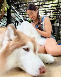 Srishty Rodeની બે ચોટલી વાળી એકદમ ક્યૂટ તસવીરો વાયરલ, ફેન્સ પણ થયા દિવાના......