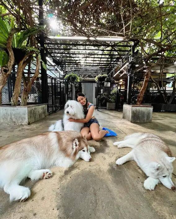 Very cute pictures of Srishti Rode with two chotili are viral, fans also went crazy...