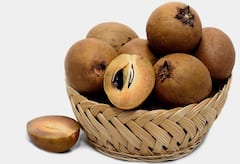 Health Benefits Of Chikoo : ਚੀਕੂ ਦੇ ਹੈਰਾਨੀਜਨਕ ਫਾਇਦੇ ਜਾਣ ਕੇ ਹੈਰਾਨ ਹੋ ਜਾਵੋਗੇ, ਇਸ ਫਲ ਨੂੰ ਡਾਈਟ 'ਚ ਜ਼ਰੂਰ ਕਰੋ ਸ਼ਾਮਲ