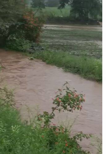 दोन दिवसाच्या उघडीपनंतर पुन्हा जिल्हाभरात अनेक ठिकाणी पावसानं हजेरी लावली