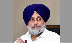 ਦੁਧਾਰੂ ਪਸ਼ੂਆਂ ਦੀਆਂ ਮੌਤਾਂ , ਸੁਖਬੀਰ ਬਾਦਲ ਬੋਲੇ - CM ਮਾਨ ਪਸ਼ੂ-ਪਾਲਣ ਵਿਭਾਗ ਦੇ ਡਾਕਟਰੀ ਅਮਲੇ ਨੂੰ ਜੰਗੀ ਪੱਧਰ 'ਤੇ ਜੁਟਣ ਦੇ ਨਿਰਦੇਸ਼ ਦੇਣ