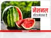 Watermelon Day 2022: लाल नहीं पीले रंग का तरबूज भी होता है बहुत फायदेमंद, जानिए कैसे