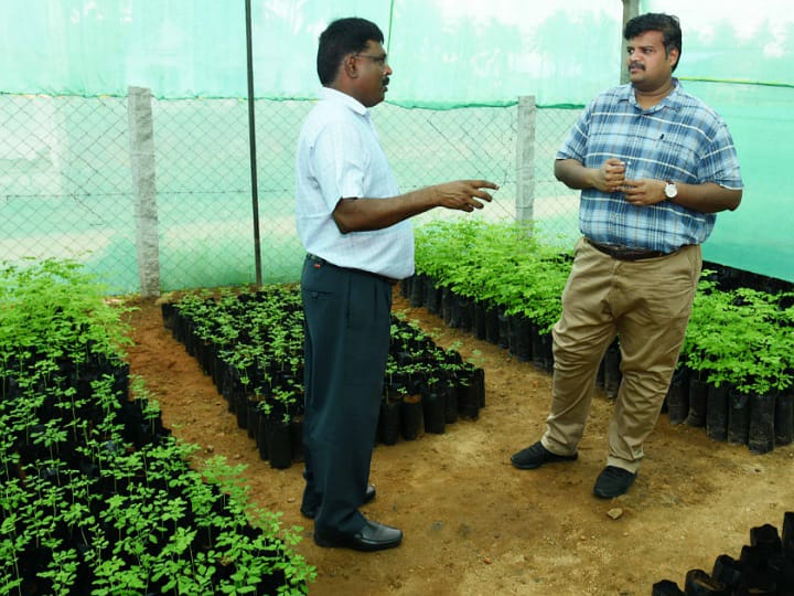கரூரில் சிறு, குறு விவசாயிகளுக்கு மரக்கன்றுகள் வழங்குவதற்காக 22 நாட்றங்கால் பண்ணைகள் - ஆட்சியர் தகவல்