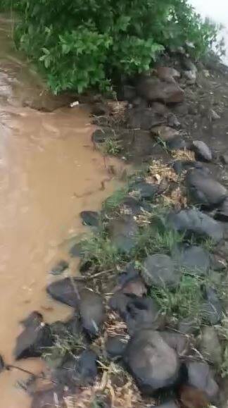 मुसळधार पावसामुळं शेती पिकांचे मोठं नुकसान