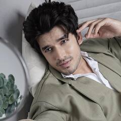 Paras Kalnawat से Karan Singh Grover तक, इन टीवी स्टार्स को सीरियल्स से रातोंरात दिखा दिया गया था बाहर का रास्ता