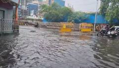 UP Rain News: बारिश के बाद Noida से आई तस्वीर ने प्राधिकरण के दावों की पोल खोल दी