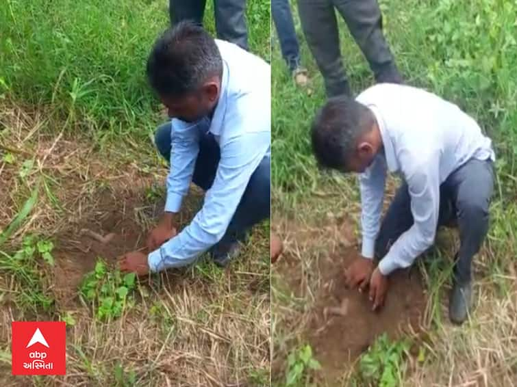 Sabarkantha : A newborn baby was buried alive in a field in Gambhoi village of Himmatnagar SABARKANTHA : હિંમતનગરમાં નવજાત શિશુને જીવતું દાટી દીધું ખેતરમાં, જાણો પછી શું થયું