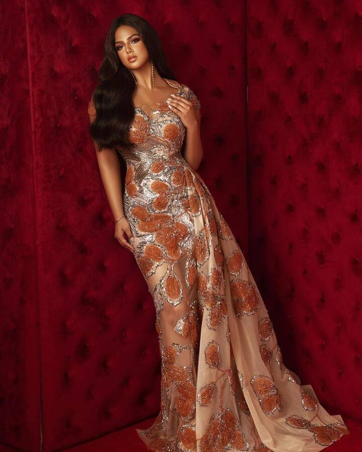 इस बात में कोई दो राय नहीं है कि हरनाज़ सबकी चहेती हैं और देश से लेकर विदेश तक में उनकी जबरदस्त फैन फॉलोइंग है. मिस यूनिवर्स का क्राउन पहनकर हरनाज़ ने दुनियाभर में अपनी अलग पहचान बनाई है. लेकिन हाल ही में हरनाज़ एक कानूनी पचड़े में फंस गई हैं.