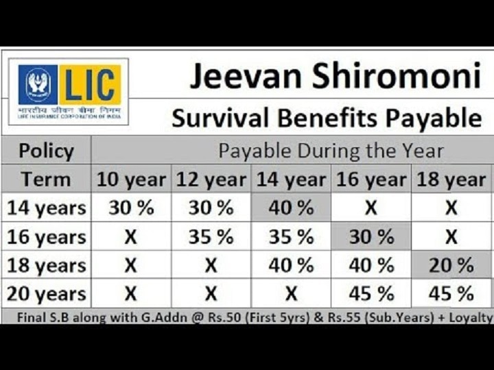 LIC Jeevan Shiromani Policy: எல்.ஐ.சி பாலிசியை தேர்ந்தெடுப்பதில் குழப்பமா? இதை ஒரு முறை படிச்சிடுங்க..