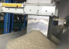 In Pics: बूंदी को कहा जाता है 'धान का कटोरा', 1800 करोड़ की है चावल इंडस्ट्री, खाड़ी देशों में होता है एक्सपोर्ट