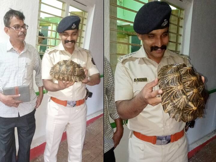 दक्षिण भारतामध्ये आढळणारे इंडियन स्टार कासवे ही वन्यजीव संरक्षण अधिनयानुसार संरक्षित असून त्यांची खरेदी विक्री करण्यास बंदी आहे. तसेच ती जवळ बाळगण्यास बंदी आहे.