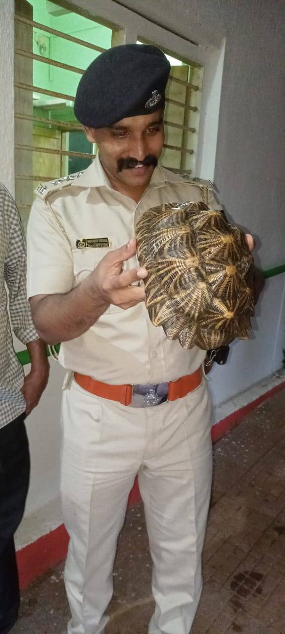 भारत आणि श्रीलंकेत हे तारा कासव आढळते. भारतात आंध्रप्रदेश, कर्नाटक, महाराष्ट्र, केरळ, तामिळनाडू, ओडिसा आणि पश्चिम बंगालमध्ये त्याचा अधिवास आहे.