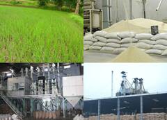 In Pics: बूंदी को कहा जाता है 'धान का कटोरा', 1800 करोड़ की है चावल इंडस्ट्री, खाड़ी देशों में होता है एक्सपोर्ट