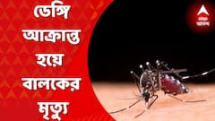 Dengue: স্কুল থেকে ফেরার পর জ্বর, ডেঙ্গি আক্রান্ত হয়ে কালীঘাটে বালকের মৃত্যু | Bangla News