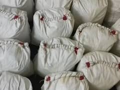 Drugs Case: ऑर्गेनिक केमेस्ट्री में पोस्ट ग्रेजुएट बना रहा था ड्रग्स, 1400 करोड़ का मादक पदार्थ जब्त, पुलिस भी रह गई हैरान