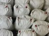 Drugs Case: ऑर्गेनिक केमेस्ट्री में पोस्ट ग्रेजुएट बना रहा था ड्रग्स, 1400 करोड़ का मादक पदार्थ जब्त, पुलिस भी रह गई हैरान