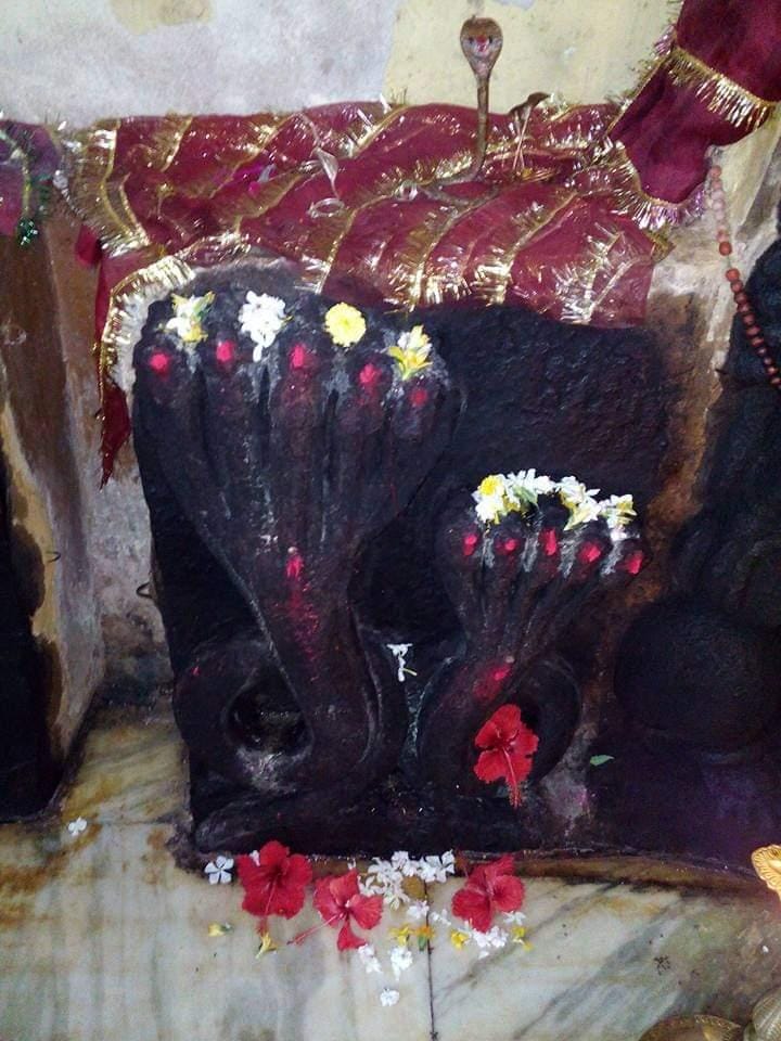 Bastar News: दंतेवाड़ा के इस प्राचीन नागदेवता मंदिर की नागवंशी राजाओं से जुड़ी है कहानी, चर्चित हैं नाग की अद्भुत कथाएं