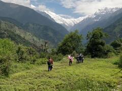 Bageshwar News: पिंडारी ग्लेशियर 'ट्रैक ऑफ द ईयर' घोषित होने से पर्यटन व्यवसाय से जुड़े लोगों की बढ़ी उम्मीदें, होगा ये बड़ा फायदा