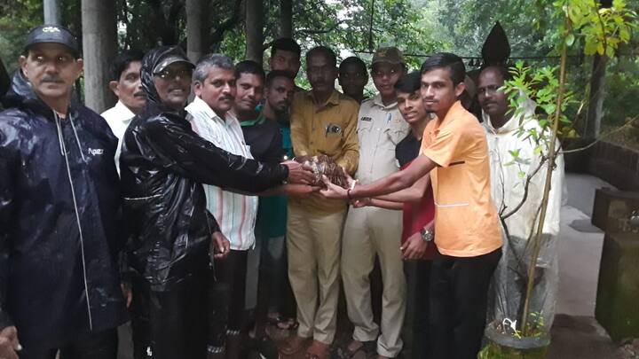 भारत आणि श्रीलंकेच्या 'ड्राय झोन' मधील प्रदेशात हे कासव आढळून येतात. दक्षिण भारतामध्ये आढळणारे इंडियन स्टार कासवे ही वन्यजीव संरक्षण अधिनयानुसार संरक्षित असून त्यांची खरेदी विक्री करण्यास बंदी आहे. तसेच ती जवळ बाळगण्यास बंदी आहे. त्यामुळे तारा कासव वन्यजीव (संरक्षण) कायदा 1972 च्या अनुसूची अंतर्गत संरक्षित आहे. तेथे प्रजाती ताब्यात आढळल्यास त्याला सहा महिन्यांपर्यंतच्या कारावासाची शिक्षा होऊ शकते.