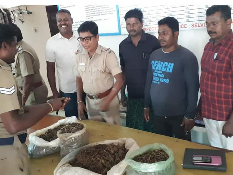 gutka hunt by police officers in karur கரூரில் 450 கிலோ தடை செய்யப்பட்ட குட்கா பொருட்கள் பறிமுதல் - போலீஸ் அதிகாரிகள் குட்கா வேட்டை