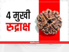 Rudraksha: ये हैं शिव के प्रिय रुद्राक्ष, पंच मुखी कराता है धन लाभ, सावन में कर सकते हैं इन्हें धारण
