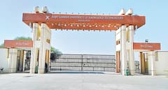 Basara IIIT : బాసర ట్రిపుల్ ఐటీలో మరో వివాదం - విద్యార్థి ఆత్మహత్యతో ఉద్రిక్తత !