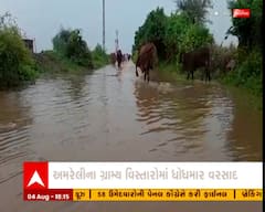 અમરેલીના ગ્રામ્ય વિસ્તારમાં ધોધમાર વરસાદ
