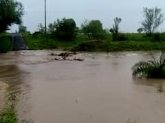 PHOTO  : लातूरमध्ये मुसळधार पाऊस, लाखो हेक्टरवरील पिके वाहून गेली, शेतकऱ्यांचे मोठे नुकसान