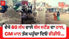 ਵੇਖੋ 80 ਲੱਖ ਵਾਲੇ ਬੱਸ ਸਟੈਂਡ ਦਾ ਹਾਲ,CM ਮਾਨ ਤੱਕ ਪਹੁੰਚਾ ਦਿਓ ਵੀਡੀਓ