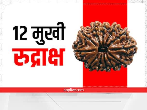 12 મુખી રુદ્રાક્ષના ફાયદાઃ બાર મુખી રુદ્રાક્ષ ધારણ કરવાથી સૂર્ય ભગવાનની કૃપા પ્રાપ્ત થાય છે. તેનાથી આત્મવિશ્વાસ વધે છે. તેને પહેરનાર હંમેશા મહેનતુ હોય છે. તે વ્યક્તિ માટે ભાગ્ય લાવે છે.